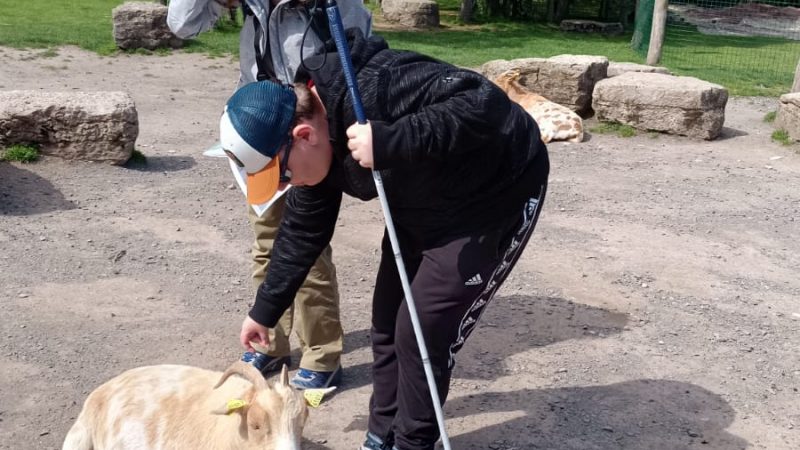 Les ambassadeurs du NAH au parc de Sainte Croix