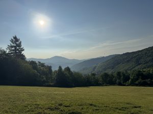 IMG_1713