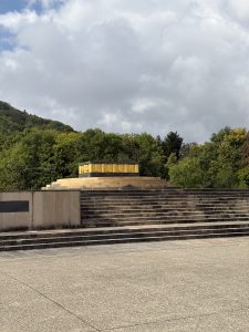 IMG_3478