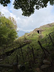 IMG_3483