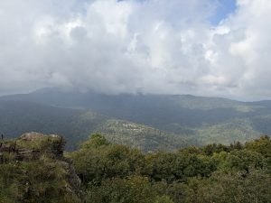 IMG_3484