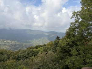 IMG_3486