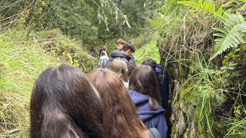 Sortie au Hartsmannwillerkopf